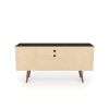 Manhattan Comfort Liberty 53.14" Mid-Century Modern TV Stand with 5 Shelves and 1 Door in Black